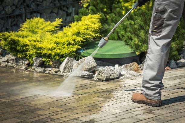 Best Winterizing Services  in Rolling Hills Estates, CA
